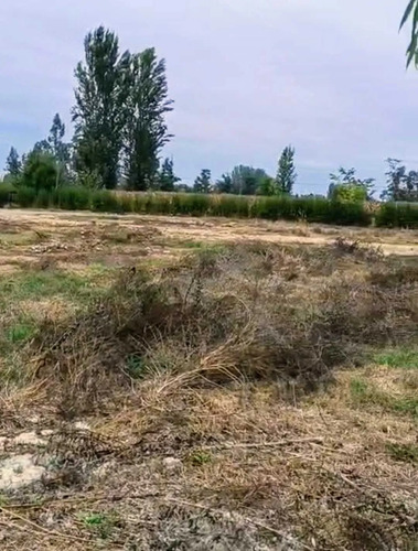 Excelente Terreno 3600 M2 Vi Región (177158)