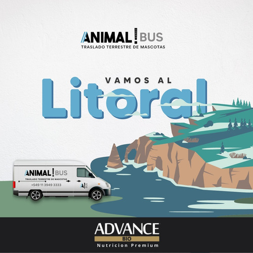 Traslado De Mascotas A Litoral Todo El Año