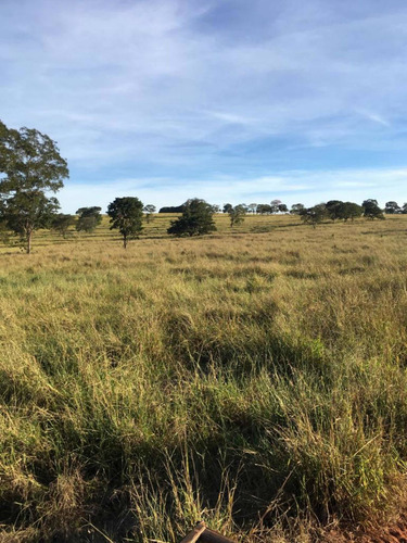 Imagem 11 de 13 de Fazenda Dupla Aptidão Estado De São Paulo