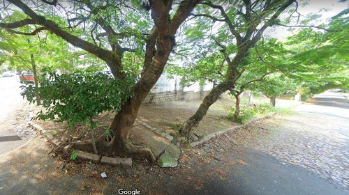 Terreno Em Cristo Redentor - Lu431219
