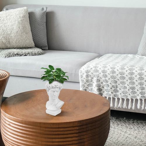 Tocador Pots Con Forma De Estatua Blanca Para Interiores
