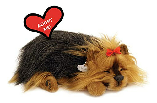 88 Sleeping Yorkie Felpa Ilimitada