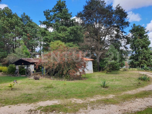 Imagen 19 de 22 de Casa En Renta, Fracc. La Escondida, San Cristobal De Las Casas