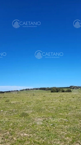 Venta Chacra Jose Ignacio Con Costa Arroyo Anastasio