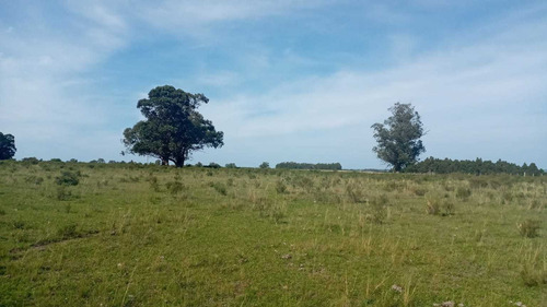 12 Hás. Agrícolas En Puntas De Solis A 250 Mts. Ruta 8