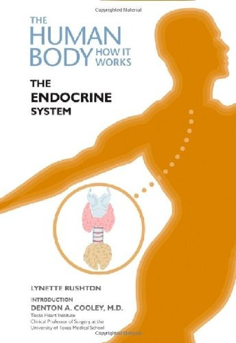 The Endocrine System (human Body How It Works)