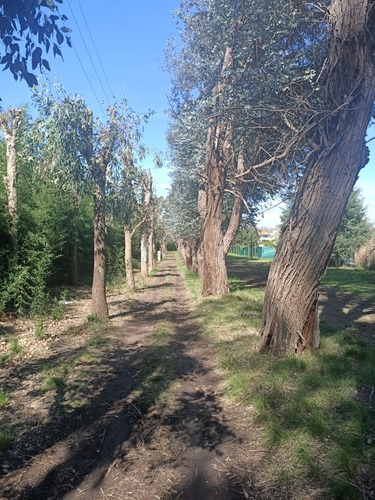 Imagen 11 de 14 de A Estrenar Con Pileta 4 Hab 210 M2 Altos Manzanares