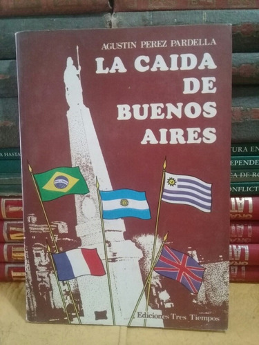 La Caida De Buenos Aires - Agustín Pérez Pardella 
