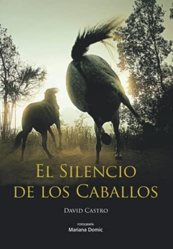 El Silencio De Los Caballos (spanish Edition), De Castro, David. Editorial Oem, Tapa Blanda En Español
