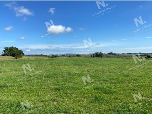 Imagen 6 de 15 de Venta Campo En Maldonado - Maldonado