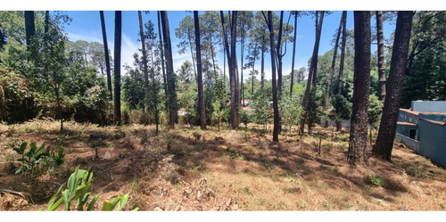 Terreno En Venta, Zona Avandaro
