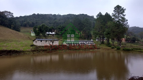 Imagem 3 de 20 de Sítio À Venda Em Juquitiba Sp Medindo 48000m² Ref 1002