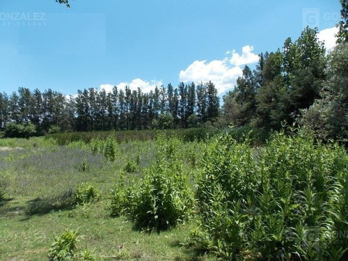 Imagen 3 de 6 de Terreno Fraccion En Venta Ubicado En Villa Rosa, Pilar, G.b.a. Zona Norte