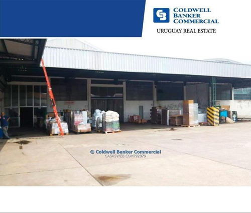 Depósito Para Industria O Logística Batlle Berres Venta Alquiler