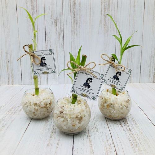 Recuerdos De Bambu Personalizados Plantas Suerte 