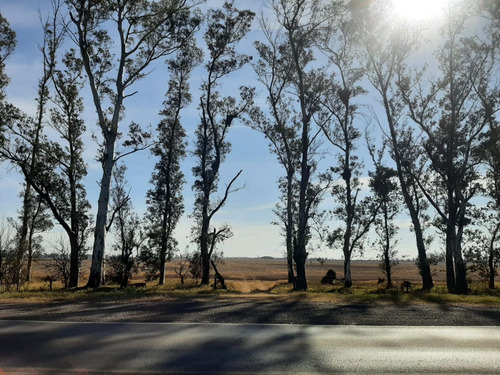 Lote En Venta 84 Ha. - Luis Palacios