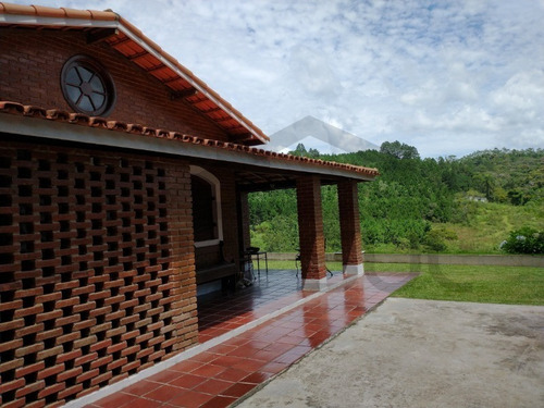 Imagem 23 de 30 de Um Belíssimo Recanto Com Casa No Alto Da Colina Com Vista Panorâmica!!! - 16 - 69196525