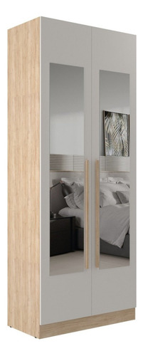 Guarda-roupa Modulado 2 Portas Com Espelho E 2 Gavetas Wt