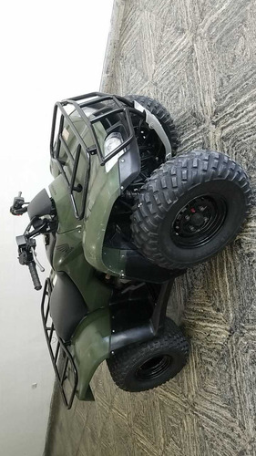 Honda Trx 250