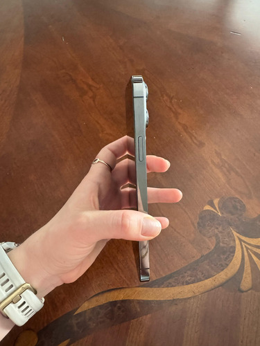 Iphone 13 Pro Max Grafito 1tb Gris Oscuro (Usado)