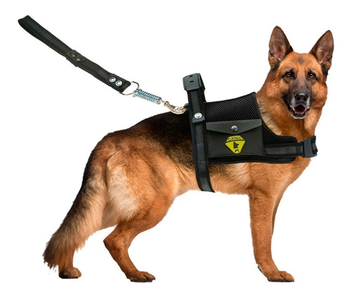 Peitoral Coleira Com Guia Cão Cachorro Com Regulagem