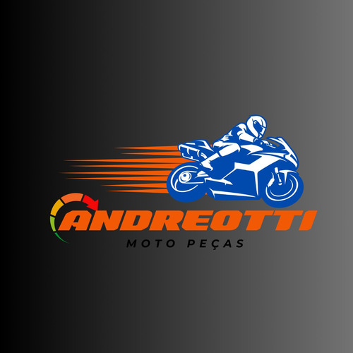 Retrovisores Bmw Para Bandit 600s/650s*