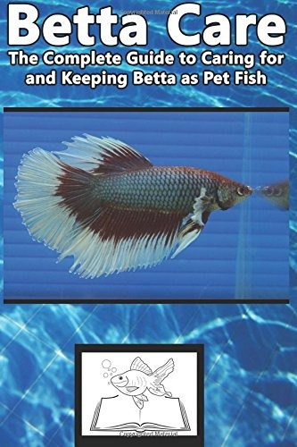 Betta Care The Complete Guide To Caring For And Keeping Bett