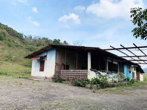 Imagen 16 de 30 de Finca Ganadera En Venta Táchira