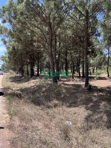 Imagen 6 de 10 de Terrenos Financiados En Nilo Park , Lomas De Solymar