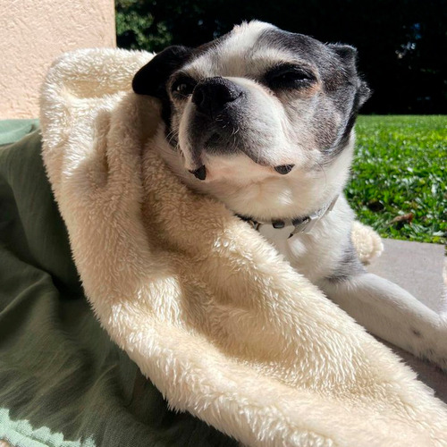 Mantas Tusor Y Cordero Para Perros Y Gatos Universos