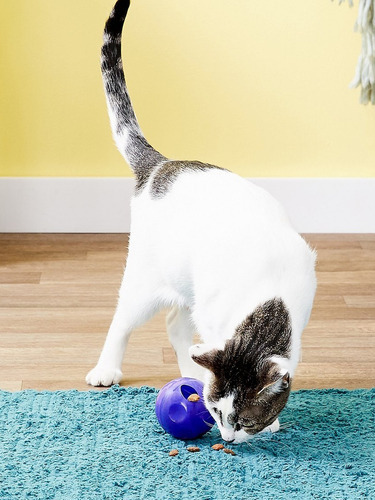 Kong Treat Ball Juguete Gatos Pelota Dispensador Alimento
