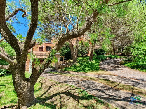 Vendo Casa 4 Dormitorios, Terreno 3.000 M2, Piscina, En Brava, Punta Del Este