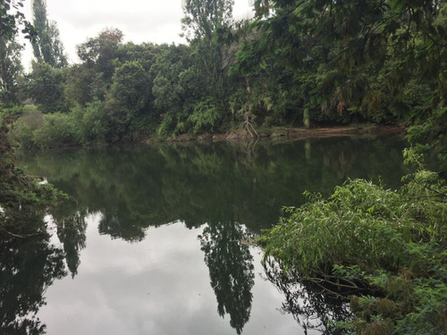 Haz Realidad El Sueño De Vivir Junto Al Río Itata