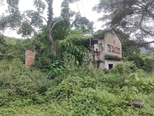 Imagen 13 de 13 de Finca En Montalbán Carabobo Fot-246