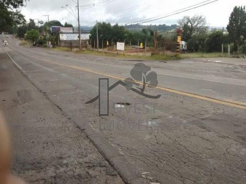 Imagem 4 de 5 de Cód 1410 - Ótimo Terreno De Frente Para A Rodovia. - 1410