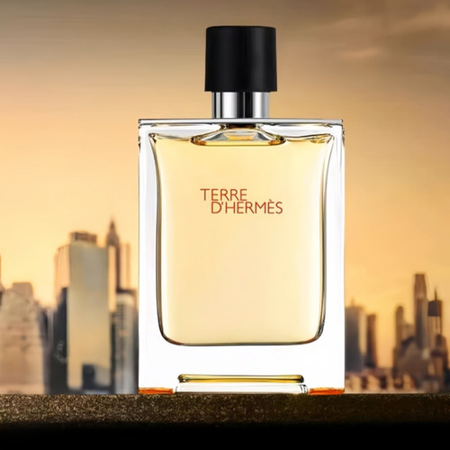 Terre D'hermès Eau De Toilette 100 Ml Para Hombre