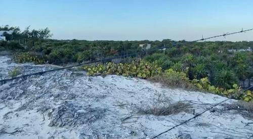 Imagen 6 de 10 de Terreno Isla Blanca Venta Frente De Playa
