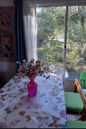 Imagen 3 de 15 de Alquiler De Casa Balneario Cuchilla Alta