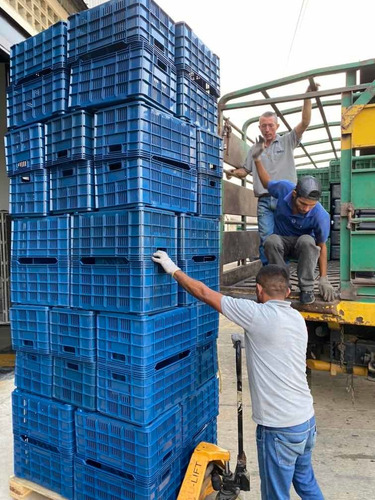 Cestas De Verdura Pollo Y Frutas Plasticas 40 Kg Lamejor