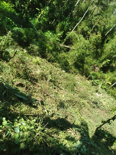 Imagem 8 de 14 de Terreno Em Miracatu C/ 30 Mil M