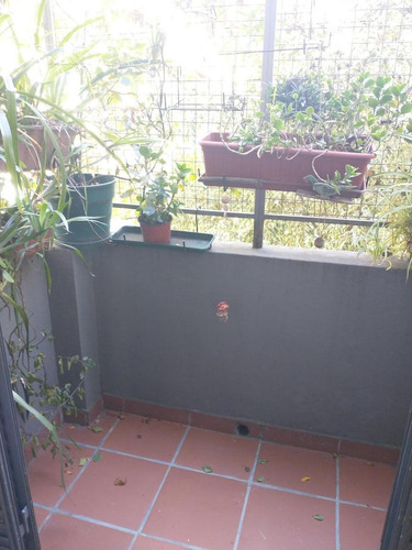 Imagen 15 de 19 de Excelente Casa Reciclada A Nuevo, 2 Dormitorios Escritorio, Patio. - Coghlan