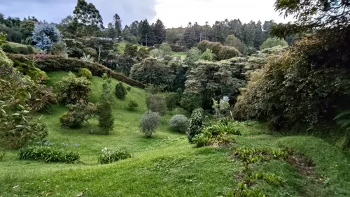 Finca En Venta En Loma Del Escobero. Cod V12621