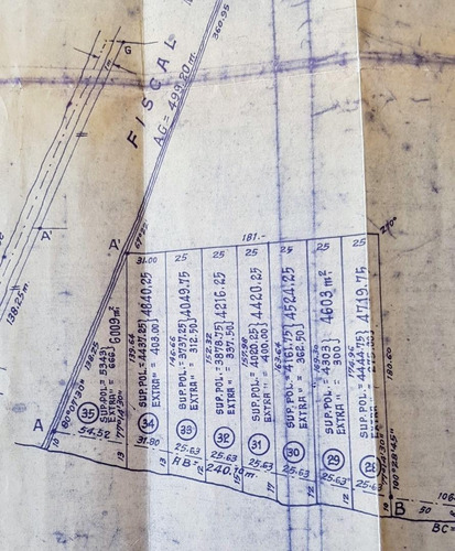 Imagen 2 de 30 de Lote Venta 2da Sección Delta Islas Sobre Paraná De L. Palma