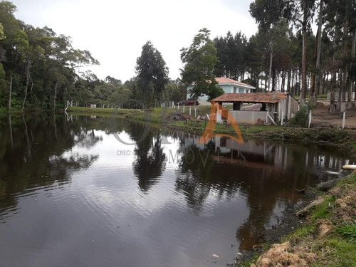 Chácara 4.000m², 02 Casas, Tanque De Peixe, Em Campestrinho - Mandirituba/pr. - Cha007 - 68995278