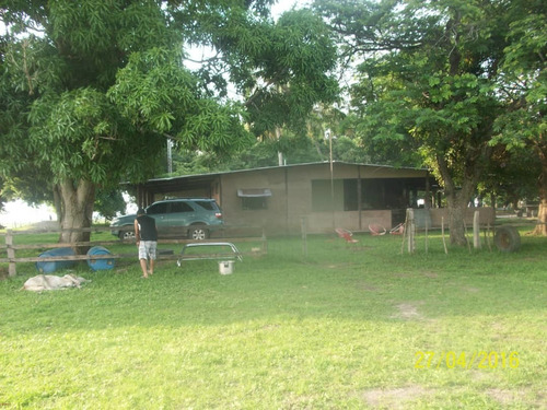 Imagen 13 de 15 de Hato En Venta En Elorza, Apure