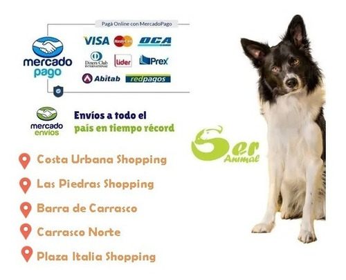 Imagen 2 de 2 de Plato Comedero Perro Furacao Pet N3 Anti Hormiga 1000ml