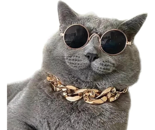 Conjunto De Cadena Dorada Y Lentes Gafas De Sol Para Gato 