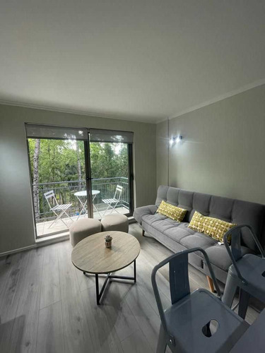 Lindo Departamento (79616)