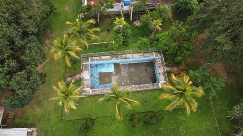 Imagen 4 de 9 de Finca En Venta Bejuma Altos De Reyes Carabobo Gavip