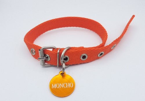 Chapitas Perros Redonda Grande Naranja + Collar Naranja